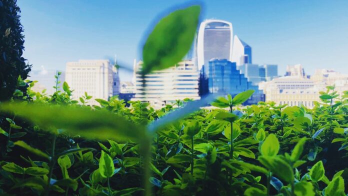 A new report this morning calls for the Government to do more to secure Britain’s place as the global centre of green finance
