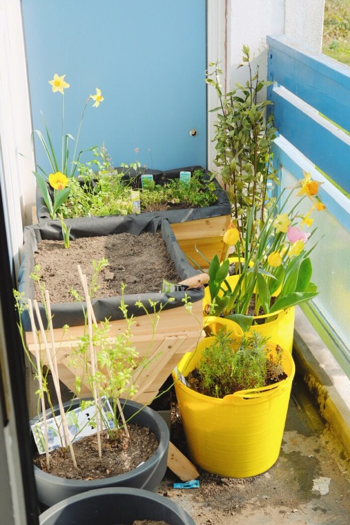 A project Growing Together aims to inspire residents in the Newton Heath neighbourhood to get growing at home