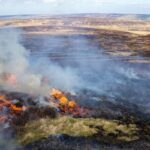 Grouse moor owners have continued to set fire to some of the UK’s most protected nature sites despite a government ban to protect peatlands