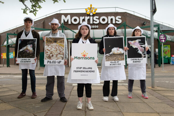 Over the bank holiday weekend, animal welfare campaigners dressed in butcher outfits descended on 21 Morrisons stores across the country