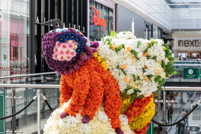 The Manchester Flower Show returns as city centre shops and restaurants will put on a show fit for a Queen next month