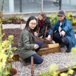 NOMA, the mixed-use neighbourhood in the heart of Manchester, has launched a long-term project to inspire a new generation of urban gardeners