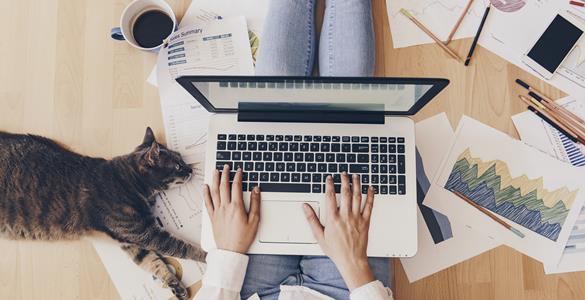 Today (Friday) is the 17th annual Work from Home Day, organised by Work Wise UK as part of Work Wise Week