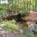 Hindley’s Borsdane Wood has been chosen as part of a nationwide network of 70 ancient woodlands to be dedicated to the Queen
