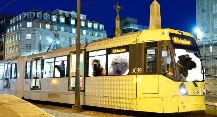 Transport for Greater Manchester are running a trial allowing pet dogs onto the Metrolink for the first time