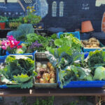 As urban populations boom, urban crops are increasingly looked to as a local food source and a way to help