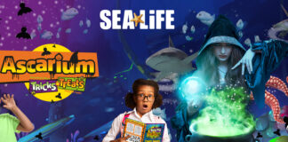 Join in the spooky fun as SEA LIFE centres across the UK and Ireland go from aquarium to ascarium this Halloween